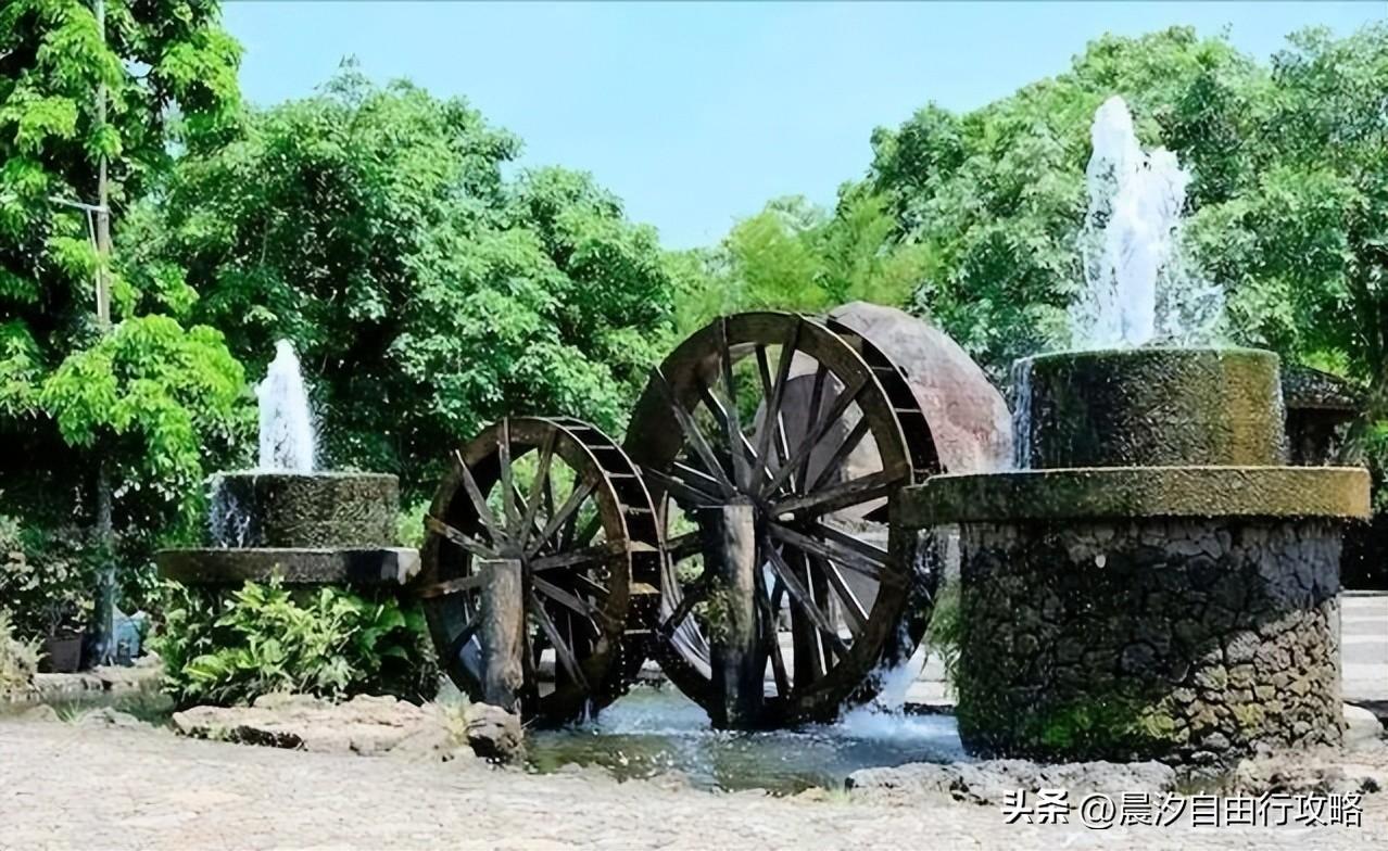 桥头富硒地瓜种植户(户桥头种植地瓜富硒基地在哪)-硒宝网