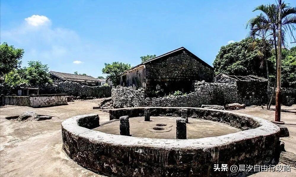 桥头富硒地瓜种植户(户桥头种植地瓜富硒基地在哪)-硒宝网