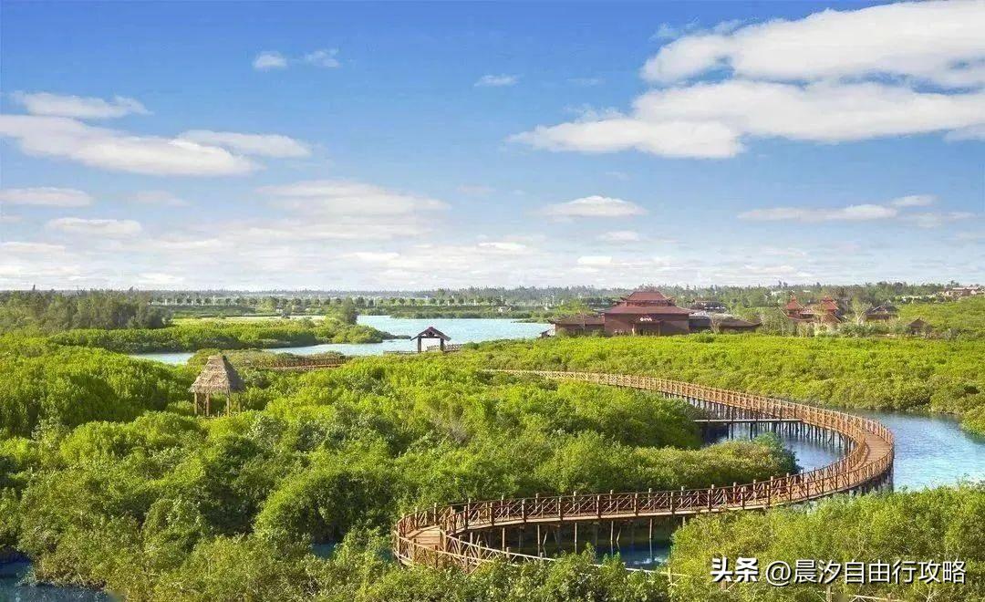 桥头富硒地瓜种植户(户桥头种植地瓜富硒基地在哪)-硒宝网