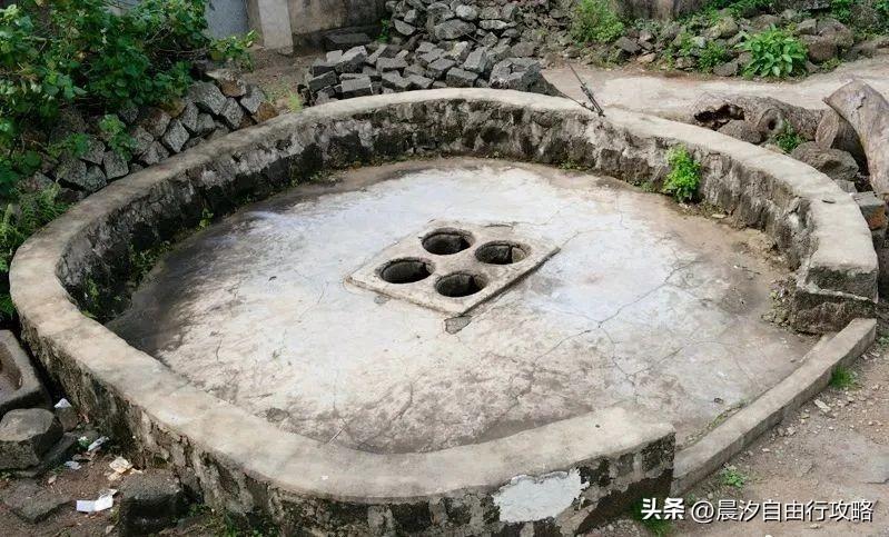 桥头富硒地瓜种植户(户桥头种植地瓜富硒基地在哪)-硒宝网