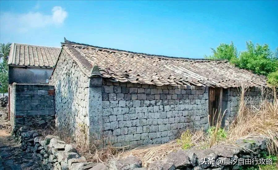 桥头富硒地瓜种植户(户桥头种植地瓜富硒基地在哪)-硒宝网