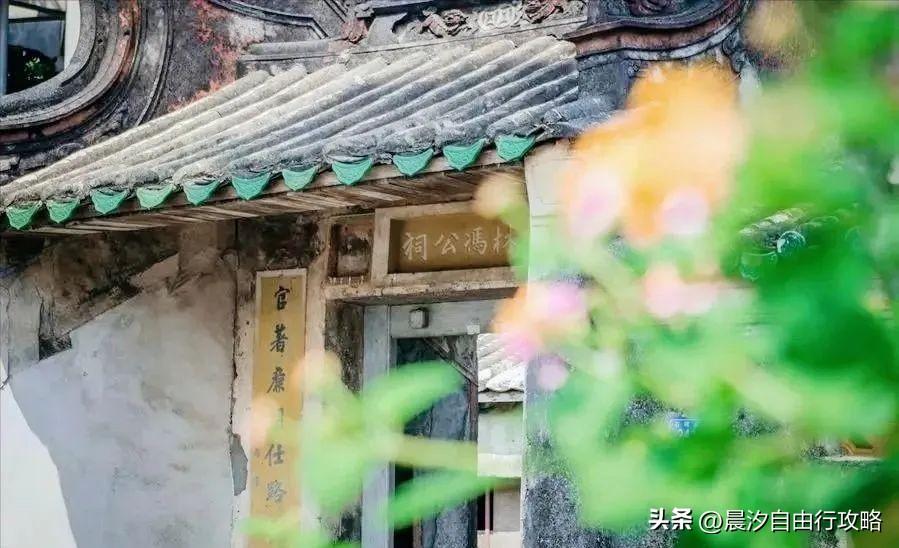 桥头富硒地瓜种植户(户桥头种植地瓜富硒基地在哪)-硒宝网