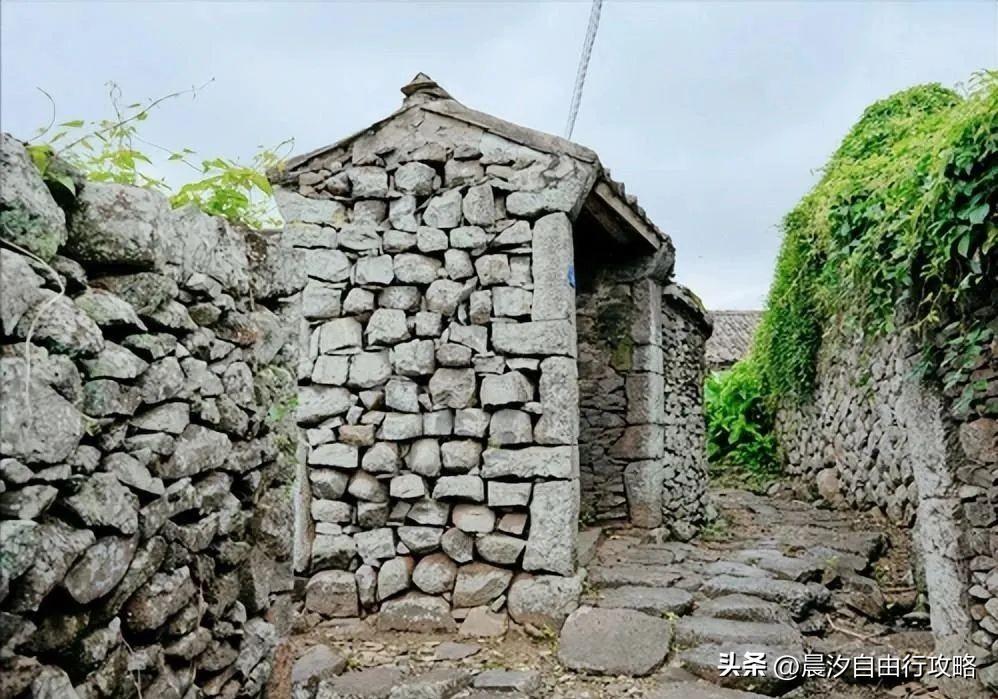 桥头富硒地瓜种植户(户桥头种植地瓜富硒基地在哪)-硒宝网