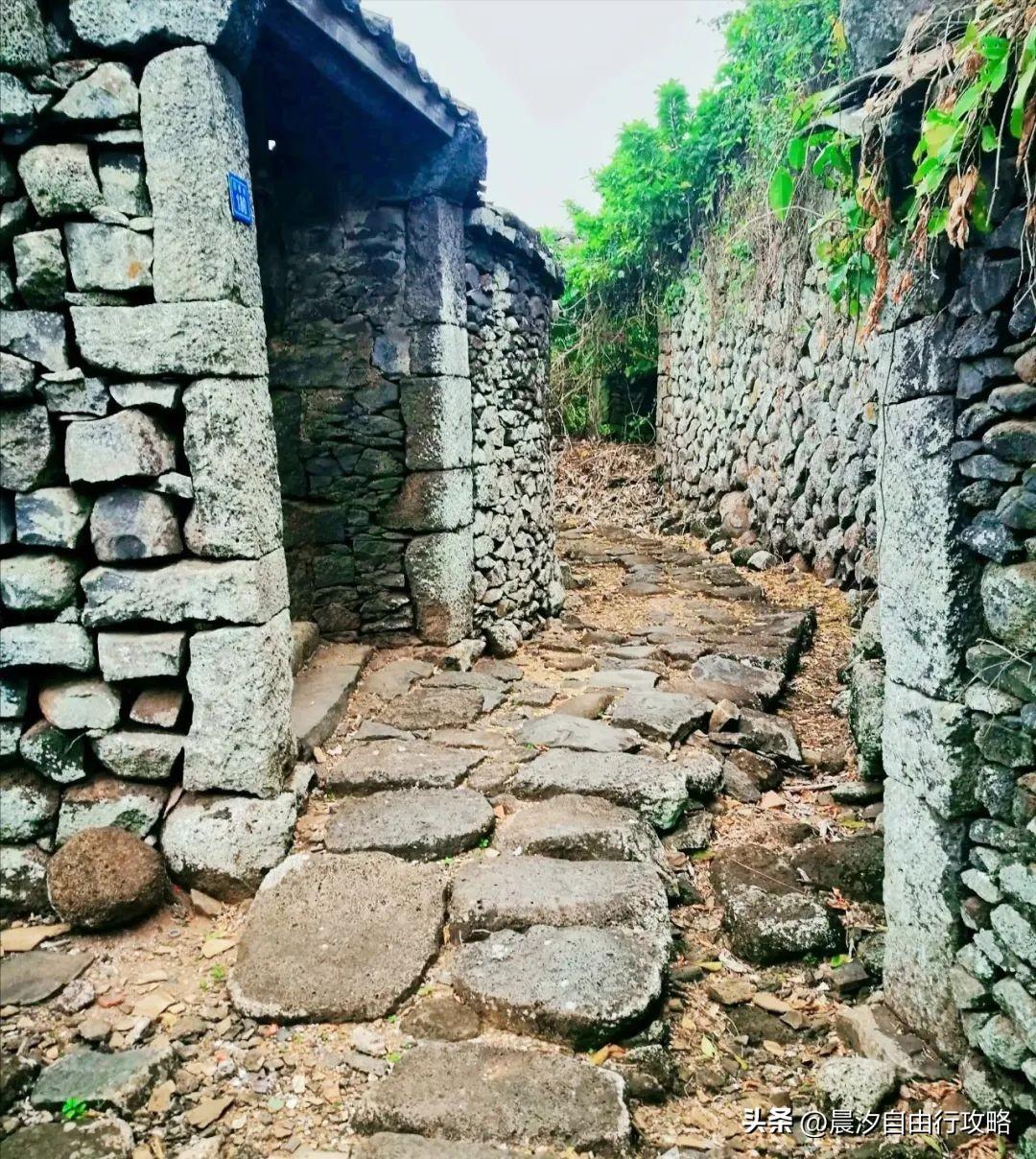 桥头富硒地瓜种植户(户桥头种植地瓜富硒基地在哪)-硒宝网