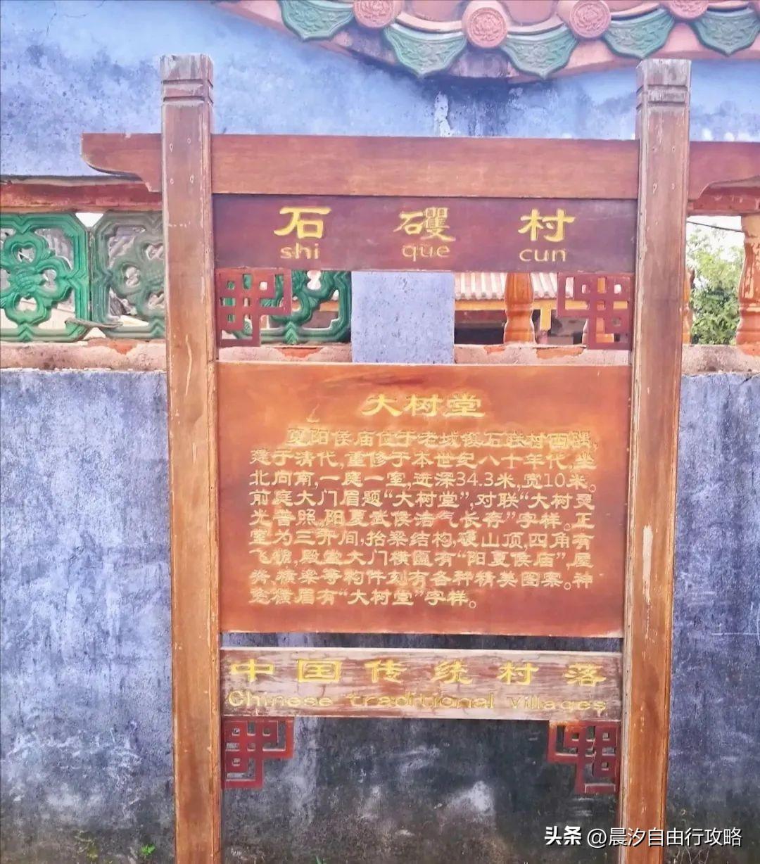 桥头富硒地瓜种植户(户桥头种植地瓜富硒基地在哪)-硒宝网