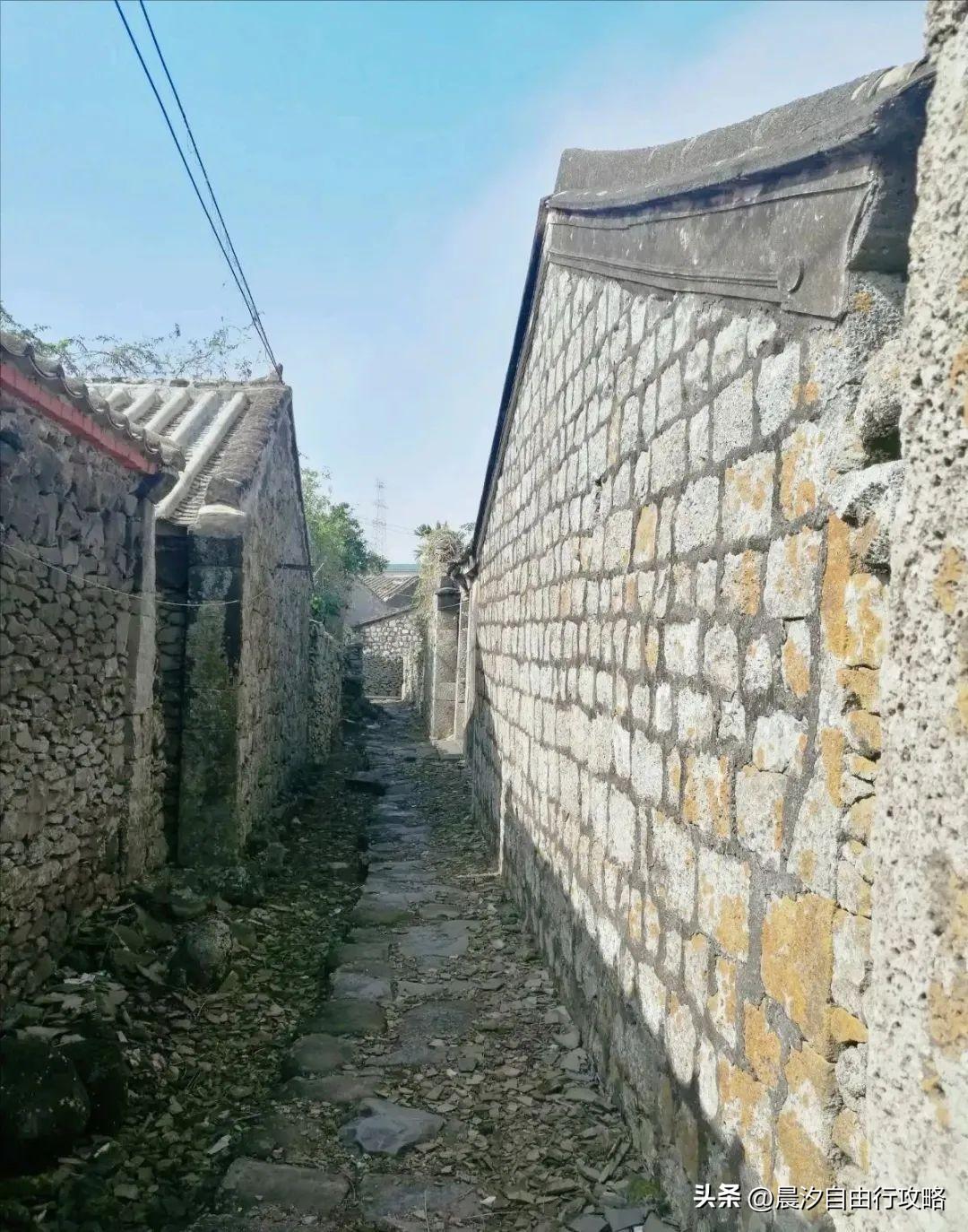 桥头富硒地瓜种植户(户桥头种植地瓜富硒基地在哪)-硒宝网