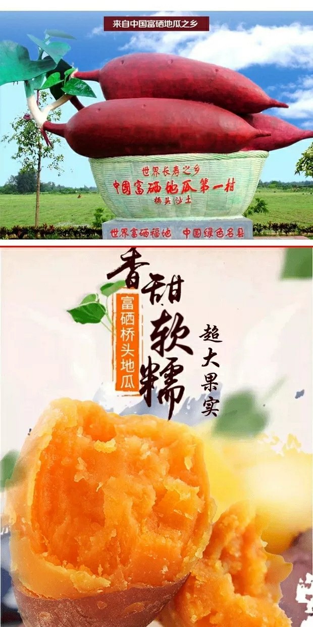 淄博哪里有富硒地瓜(泰安富硒地瓜产地)-硒宝网