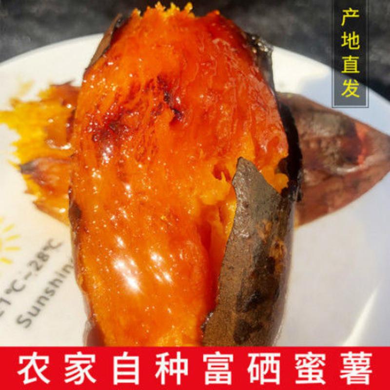 淄博哪里有富硒地瓜(泰安富硒地瓜产地)-硒宝网