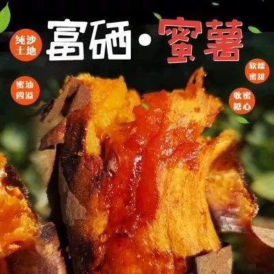 淄博哪里有富硒地瓜(淄博富硒土地)-硒宝网