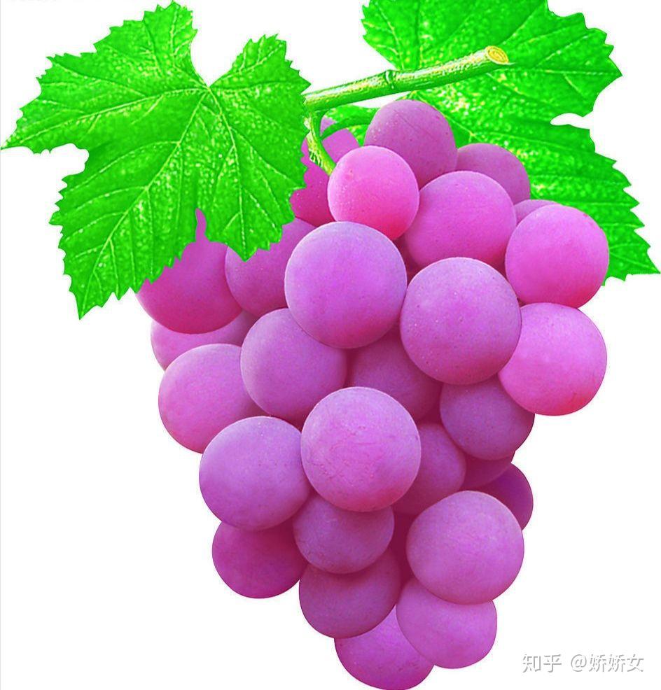 孕妇补铁吃什么水果(孕妇吃水果补铁效果最好)-硒宝网