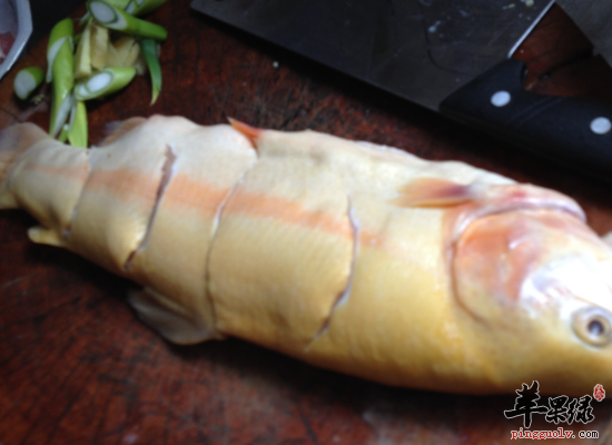 鱼骨补钙吗(鱼骨补钙)-硒宝网