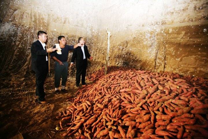 桥头富硒地瓜和紫薯（紫薯有硒吗）-硒宝网