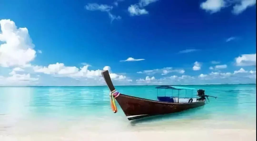 富硒地瓜叫北京红吗(富硒地瓜的产地是哪里)-硒宝网