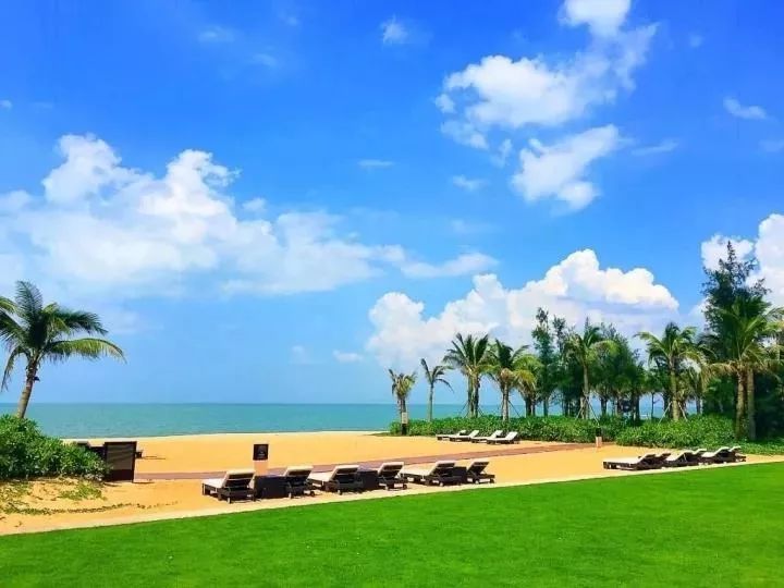 富硒地瓜叫北京红吗(富硒地瓜的产地是哪里)-硒宝网