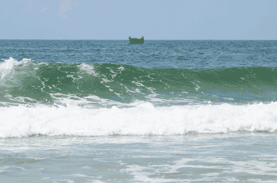 富硒地瓜叫北京红吗(富硒地瓜的产地是哪里)-硒宝网