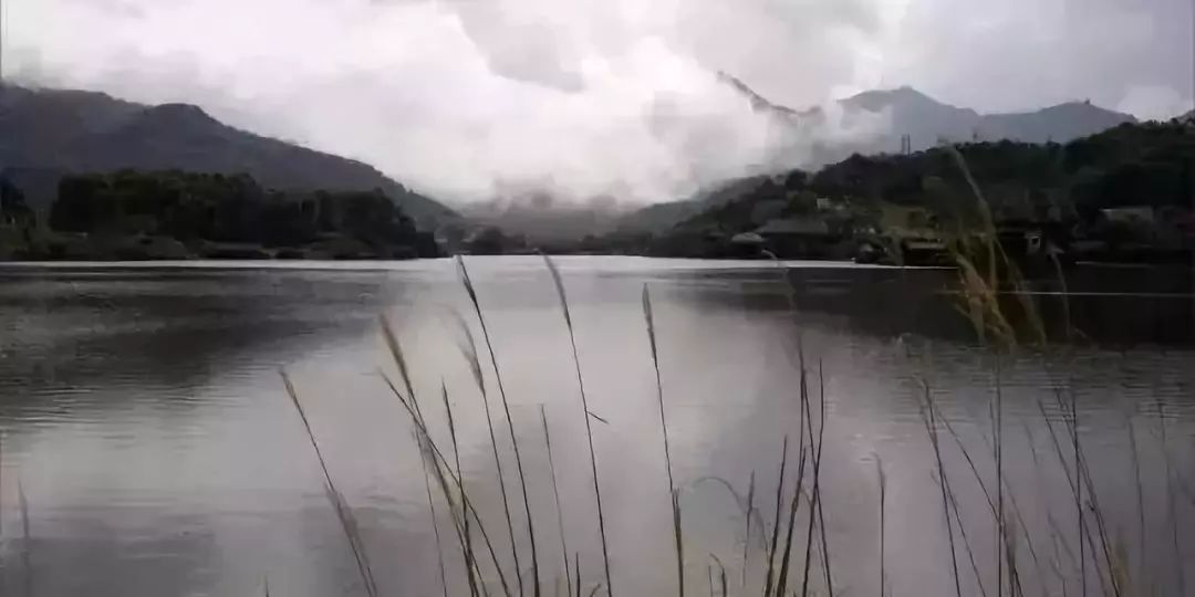 富硒地瓜叫北京红吗(富硒地瓜的产地是哪里)-硒宝网