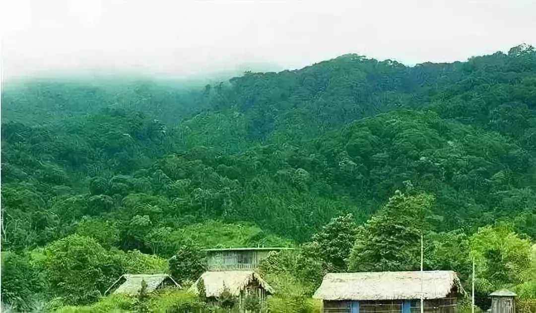 富硒地瓜叫北京红吗(富硒地瓜的产地是哪里)-硒宝网