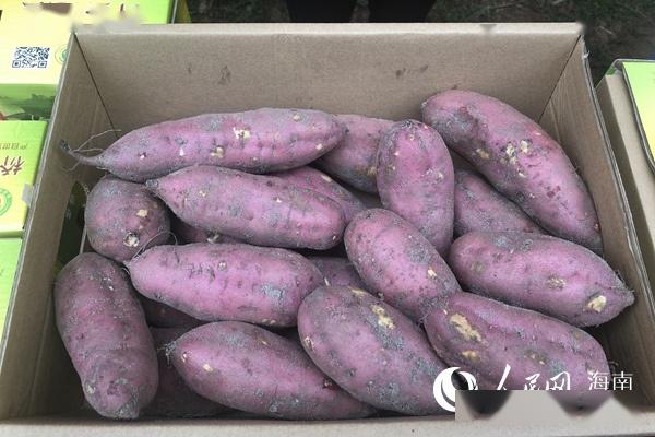 桥头富硒地瓜价格表(桥头地瓜多少钱一箱)-硒宝网