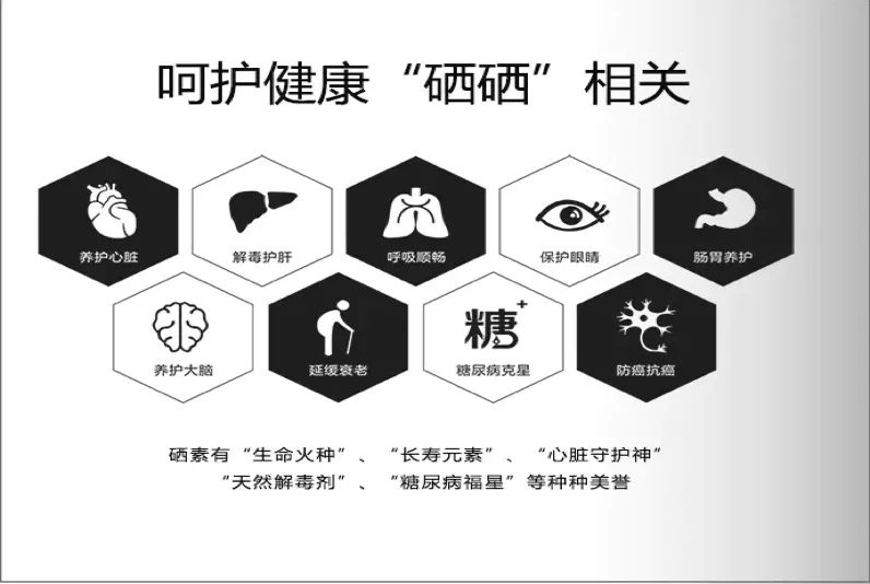 富硒地瓜多少天能收（富硒地瓜怎么种植）-硒宝网