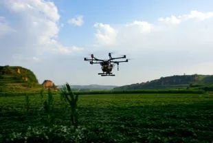 富硒地瓜多少天能收（富硒地瓜怎么种植）-硒宝网