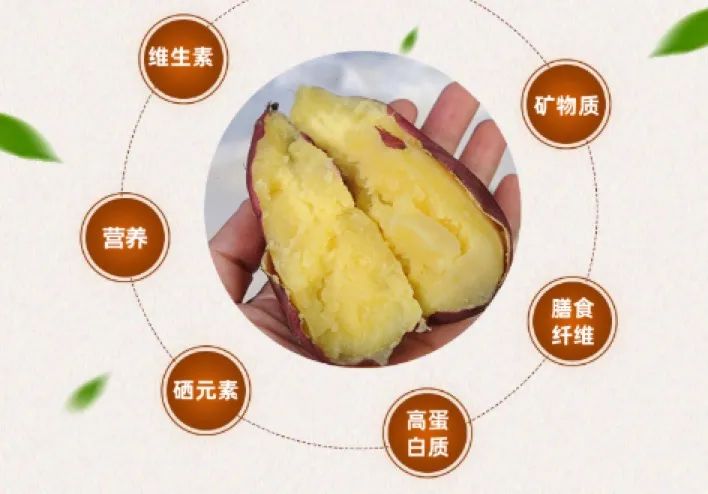 富硒地瓜多少天能收（富硒地瓜怎么种植）-硒宝网