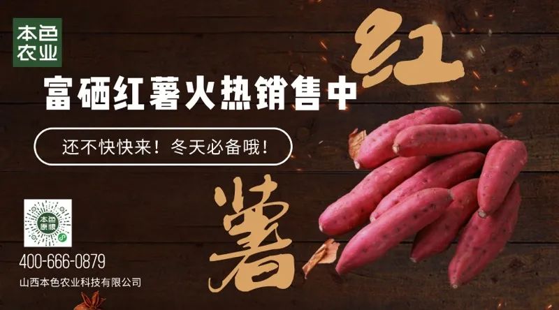 富硒地瓜多少天能收（富硒地瓜怎么种植）-硒宝网