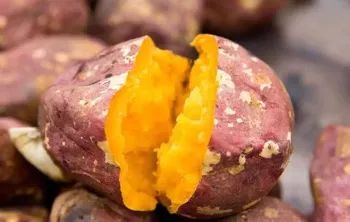 富硒地瓜多少天能收（富硒地瓜怎么种植）-硒宝网