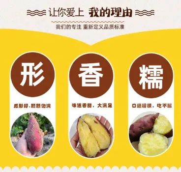 富硒地瓜多少天能收（富硒地瓜怎么种植）-硒宝网