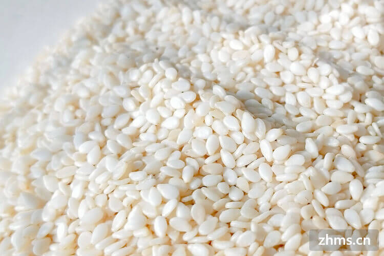 补钙最快的食物（食物补钙前十名）-硒宝网