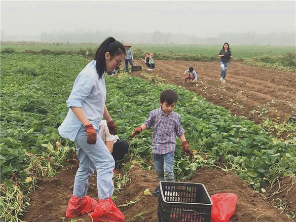 桥头富硒地瓜比肉贵(桥头地瓜价格)-硒宝网