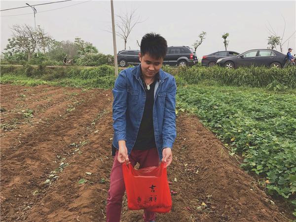 桥头富硒地瓜比肉贵(桥头地瓜价格)-硒宝网