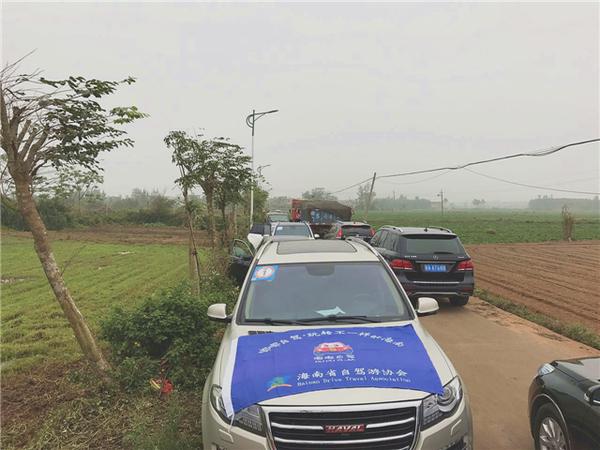 桥头富硒地瓜比肉贵(桥头地瓜价格)-硒宝网