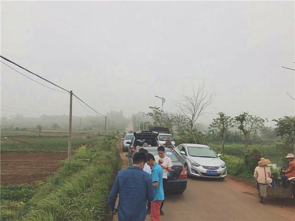 桥头富硒地瓜比肉贵(桥头地瓜价格)-硒宝网