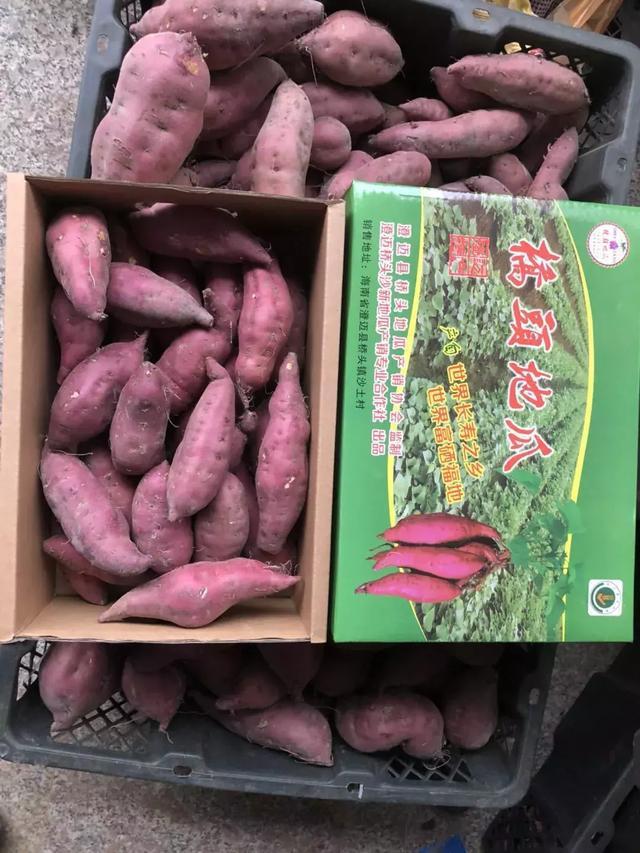 桥头富硒地瓜必买店(桥头地瓜哪里能买到真的)-硒宝网