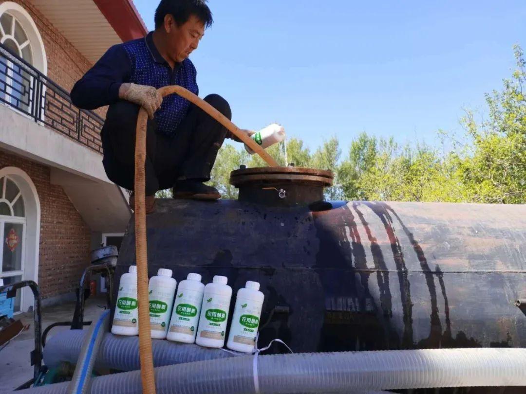 有机富硒地瓜怎么做(富硒地瓜多少钱一斤)-硒宝网