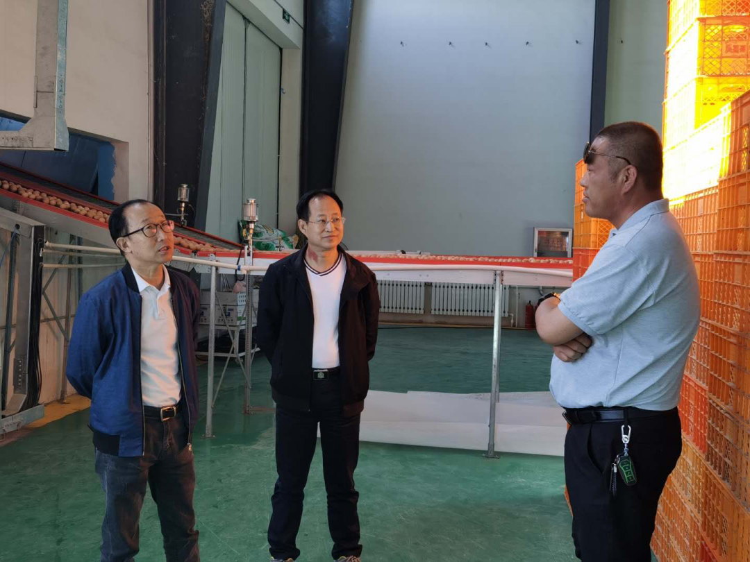 有机富硒地瓜怎么做(富硒地瓜多少钱一斤)-硒宝网