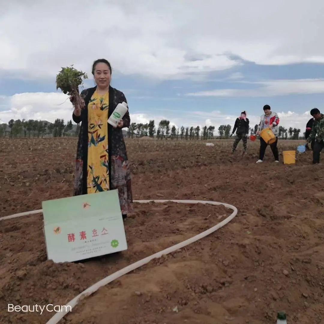 有机富硒地瓜怎么做(富硒地瓜多少钱一斤)-硒宝网