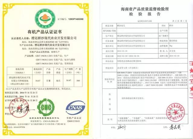 富硒地瓜哪产的好吃(富硒地瓜好吃吗)-硒宝网