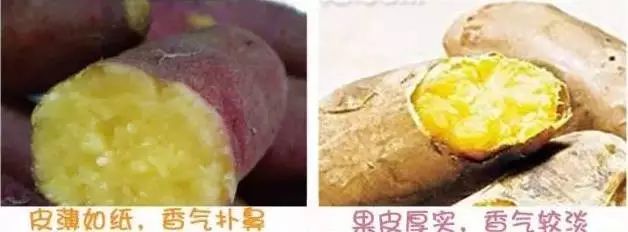 富硒地瓜的升糖指数（地瓜含糖份高吗）-硒宝网