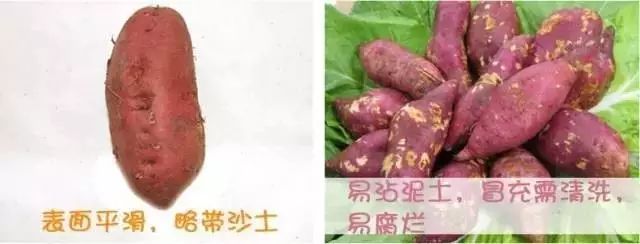 富硒地瓜的升糖指数（地瓜含糖份高吗）-硒宝网