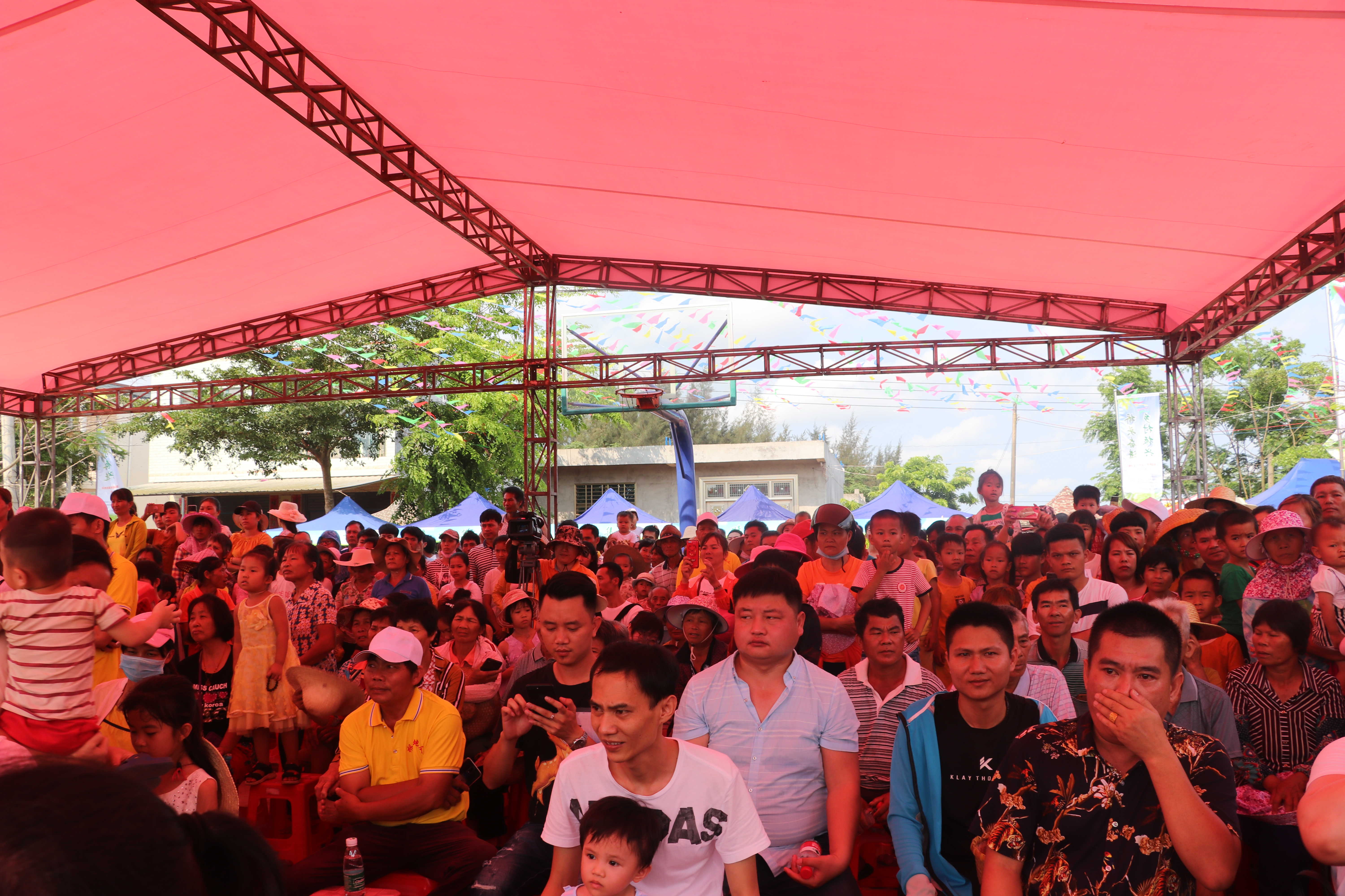 张楼村富硒地瓜基地(富硒地瓜生产基地)-硒宝网