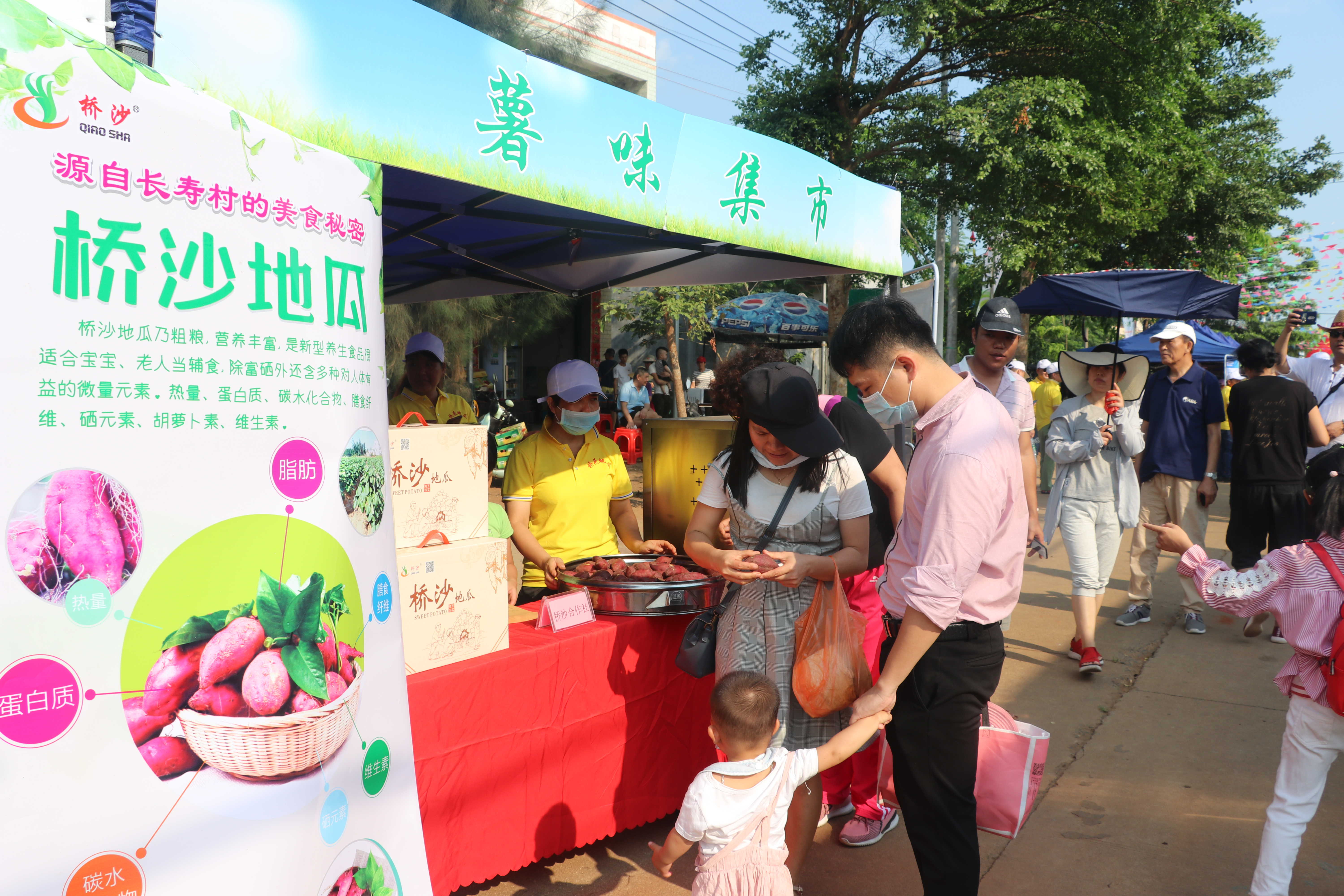 张楼村富硒地瓜基地(富硒地瓜生产基地)-硒宝网