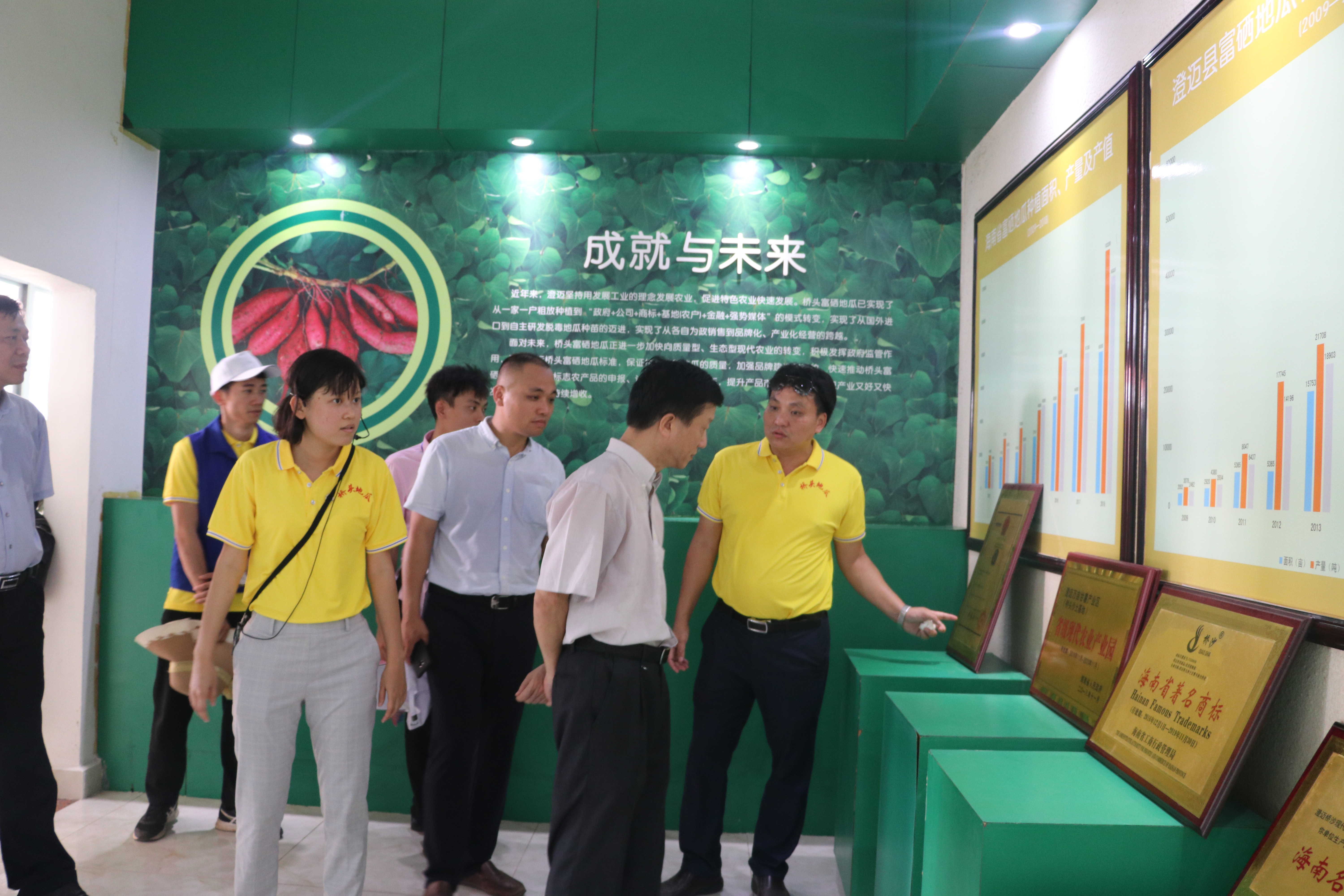 张楼村富硒地瓜基地(富硒地瓜生产基地)-硒宝网