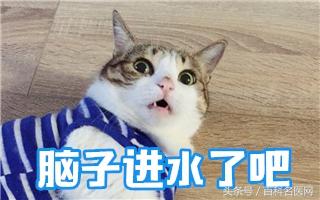 补钙吗（补钙最好的食品是什么）-硒宝网