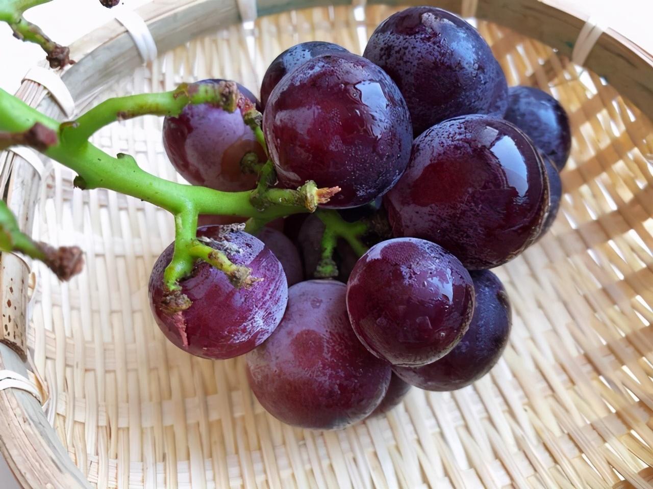 什么水果是补钙的（水果补钙）-硒宝网