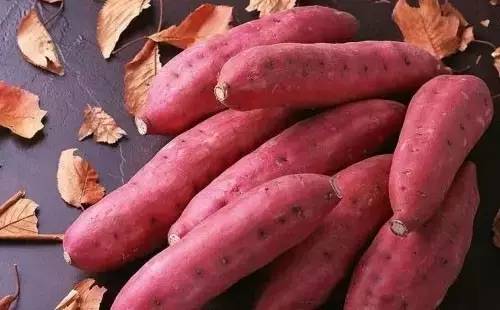 富硒地瓜是红蜜薯吗(蜜薯地瓜红富硒是什么品种)-硒宝网