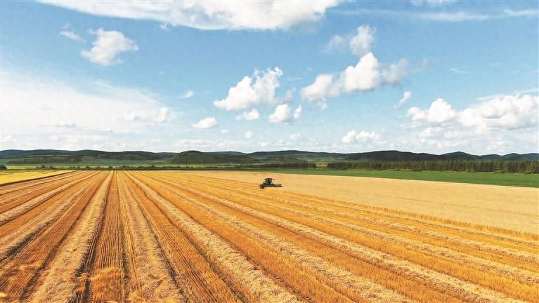 黑龙江富硒有机面粉(富硒面粉产地)-硒宝网