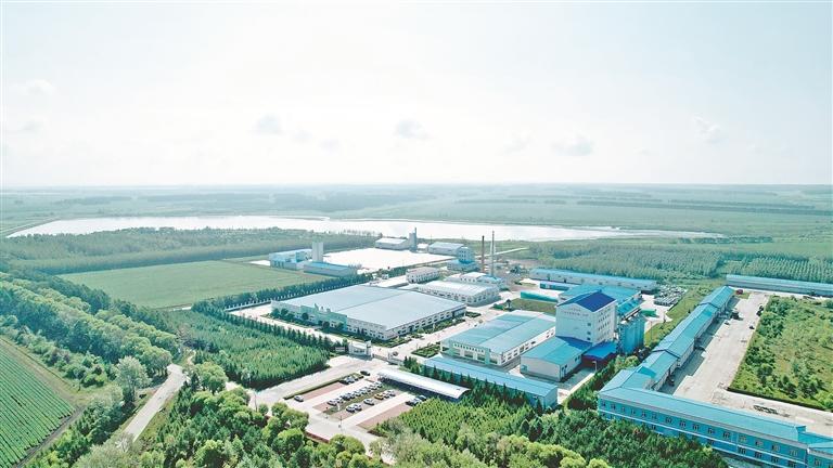 黑龙江富硒有机面粉(富硒面粉产地)-硒宝网