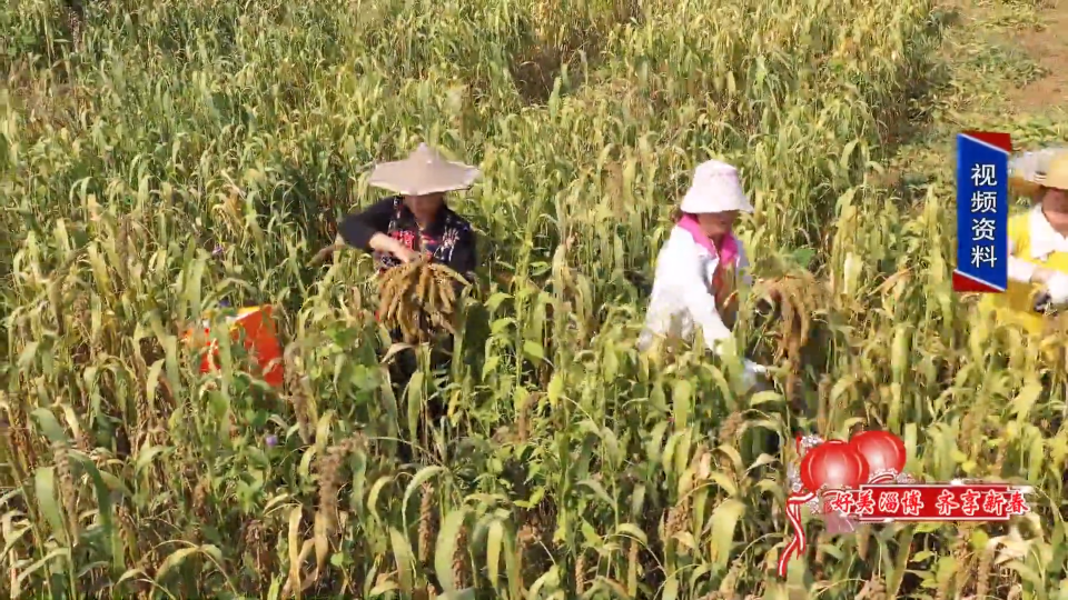 富硒面粉跟普通面粉（面粉普通富硒粉的区别）-硒宝网