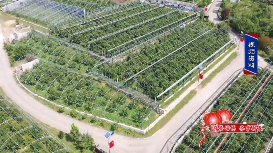 富硒面粉跟普通面粉（面粉普通富硒粉的区别）-硒宝网